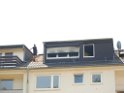 Mark Medlock s Dachwohnung ausgebrannt Koeln Porz Wahn Rolandstr P81